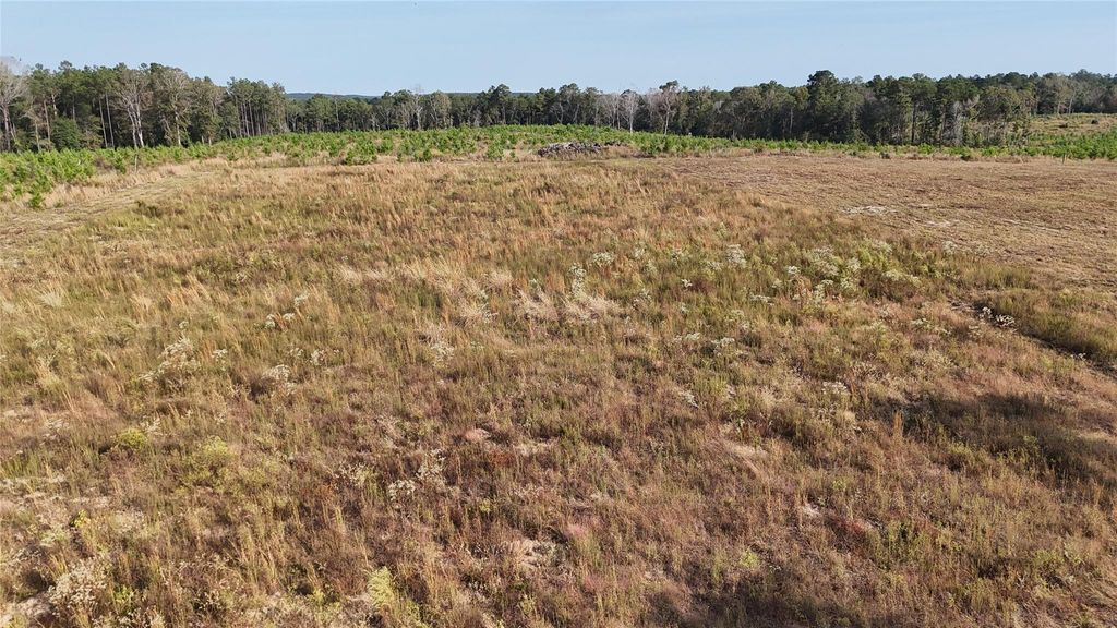 TBD 3 Young Road, Livingston, TX 77351