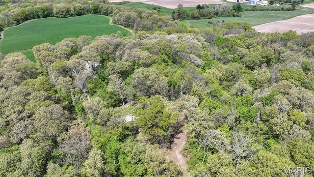 19383 Deer Run, Brighton, IL 62012