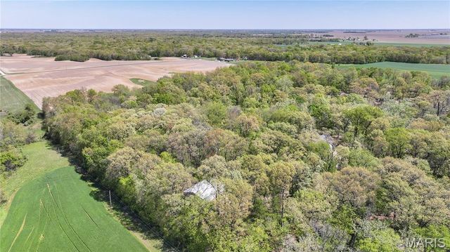 19383 Deer Run, Brighton, IL 62012