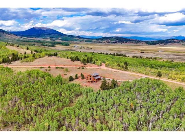 31 Buzzsaw Ln, Fairplay, CO 80440