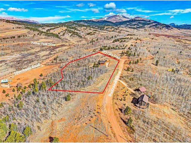 31 Buzzsaw Ln, Fairplay, CO 80440