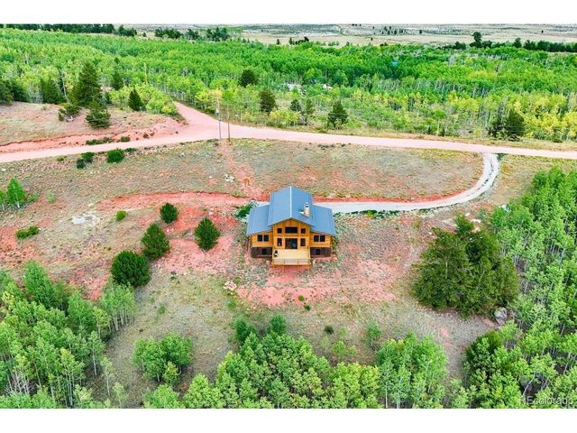 31 Buzzsaw Ln, Fairplay, CO 80440