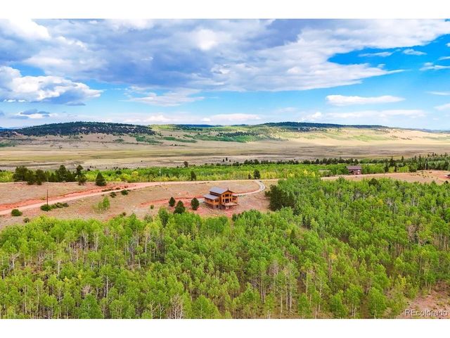 31 Buzzsaw Ln, Fairplay, CO 80440