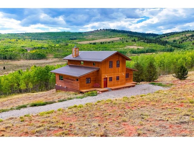 31 Buzzsaw Ln, Fairplay, CO 80440
