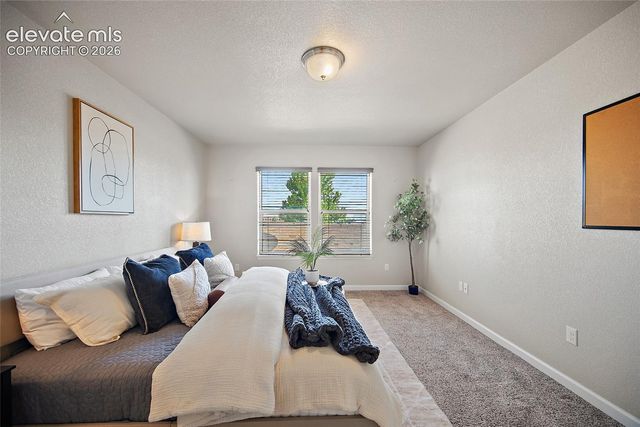 11447 Rill Point, Colorado Springs, CO 80921
