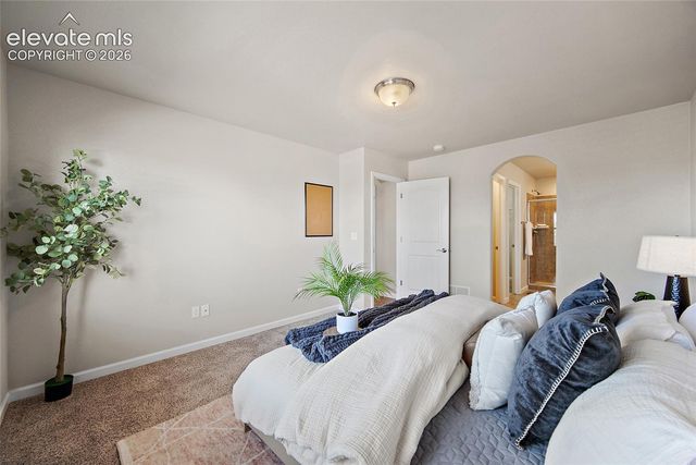 11447 Rill Point, Colorado Springs, CO 80921