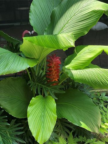 15207 17TH AVENUE E, Bradenton, FL 34212