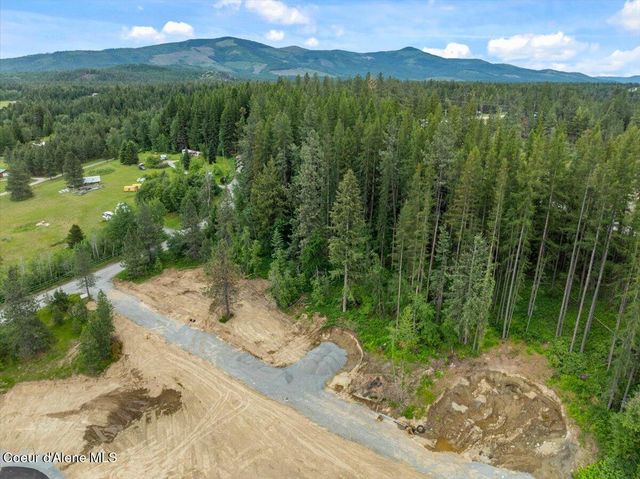 NKA Baja Lot 4 Ln, Oldtown, ID 83822
