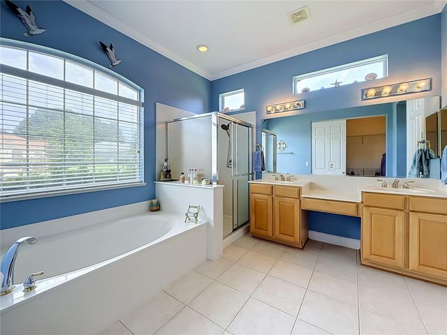 12992 SE 91ST COURT, Summerfield, FL 34491