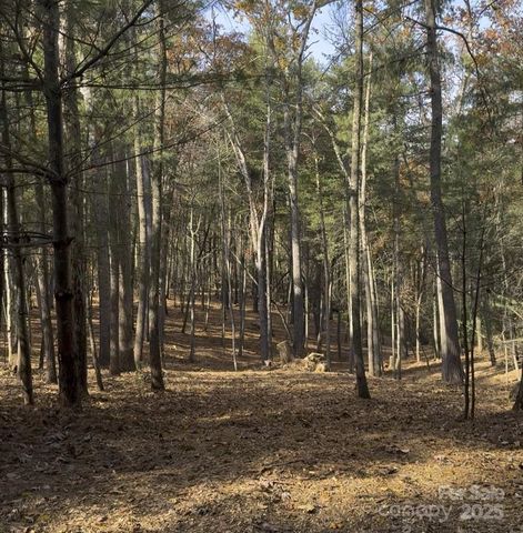 0 Cedar Hill Drive 24, Asheville, NC 28803