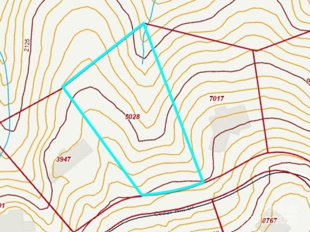 0 Cedar Hill Drive 24, Asheville, NC 28803