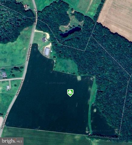 6401 LAUREL GROVE RD, Denton, MD 21629