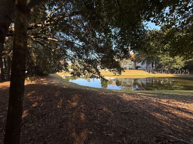 287 Old Bridge Dr, Bluffton, SC 29910