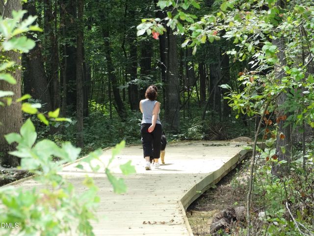 314 Williams Grv Lane, Apex, NC 27523