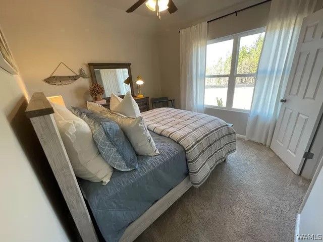 11132 Snapdragon, Tuscaloosa, AL 35405