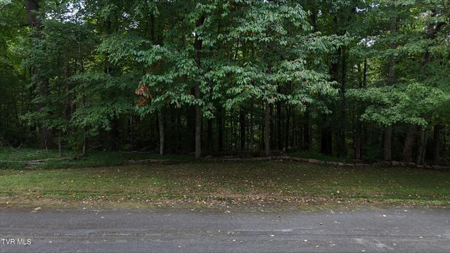 Tr 15.01 Pine Forest Lane, Unicoi, TN 37601