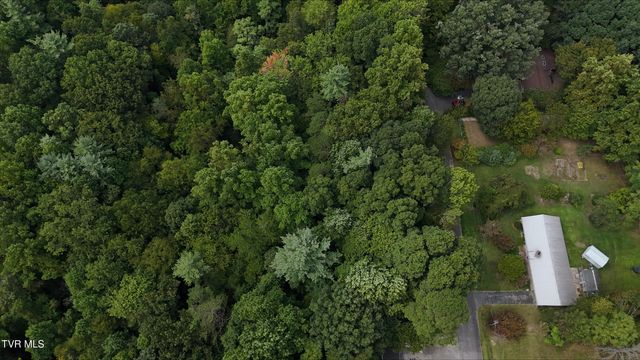 Tr 15.01 Pine Forest Lane, Unicoi, TN 37601