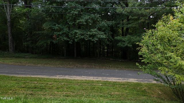 Tr 15.01 Pine Forest Lane, Unicoi, TN 37601