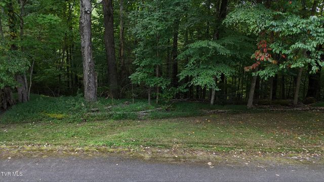 Tr 15.01 Pine Forest Lane, Unicoi, TN 37601