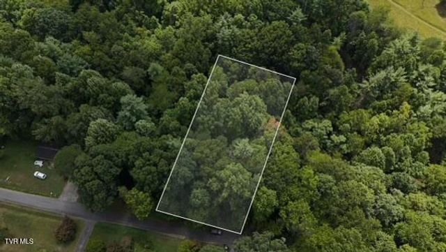 Tr 15.01 Pine Forest Lane, Unicoi, TN 37601