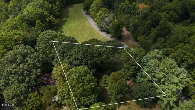 Tr 15.01 Pine Forest Lane, Unicoi, TN 37601