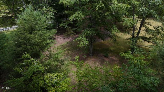 Tr 15.01 Pine Forest Lane, Unicoi, TN 37601