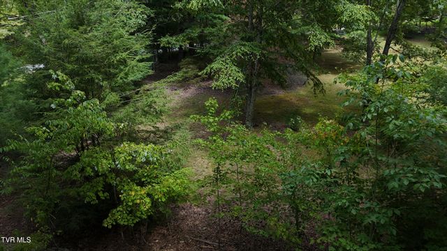 Tr 15.01 Pine Forest Lane, Unicoi, TN 37601