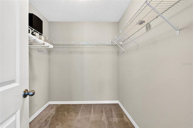 13831 FARELLA ALLEY, Windermere, FL 34786
