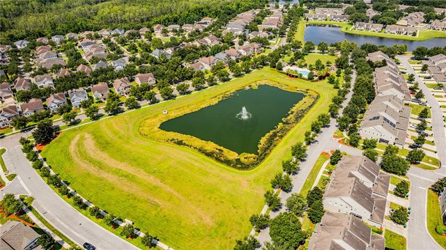 13831 FARELLA ALLEY, Windermere, FL 34786