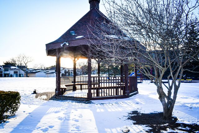 945 Commonwealth Court 4, Vernon Hills, IL 60061