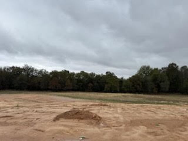 1022 Colt Road, Springtown, TX 76082