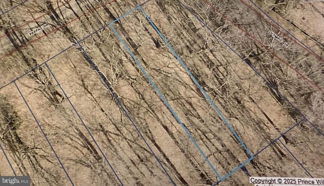 8125 PAPPAS DR, Manassas, VA 20112