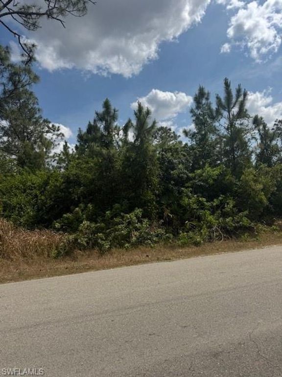 3102 E 10th ST, LEHIGH ACRES, FL 33972 — photo 4