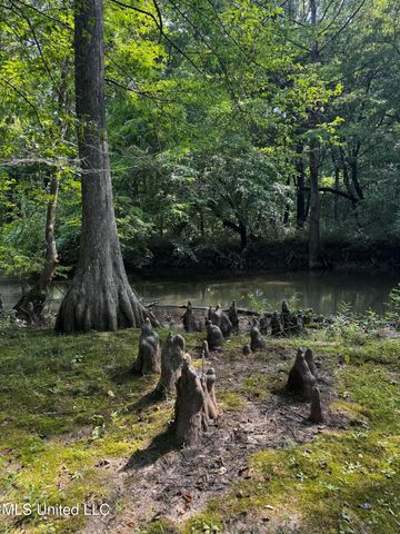 2895 Sain Road, Bolivar, TN 38725