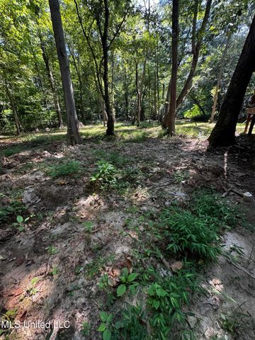 2895 Sain Road, Bolivar, TN 38725