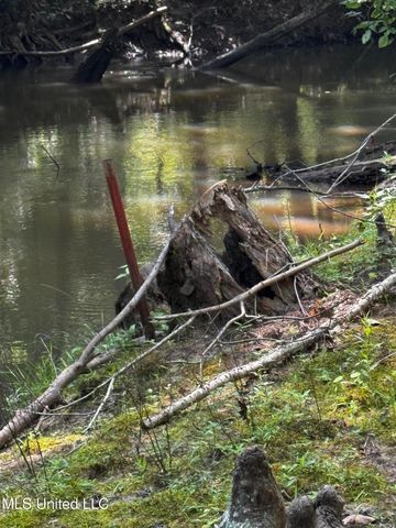 2895 Sain Road, Bolivar, TN 38725