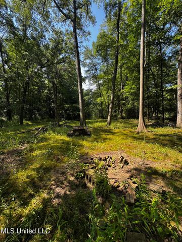 2895 Sain Road, Bolivar, TN 38725