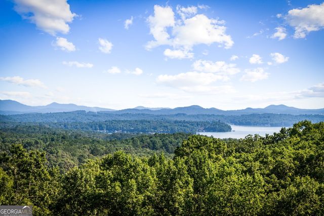 191 Green Ridge Road, Blue Ridge, GA 30513