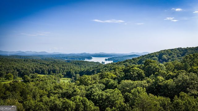 191 Green Ridge Road, Blue Ridge, GA 30513