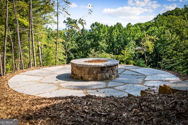 191 Green Ridge Road, Blue Ridge, GA 30513