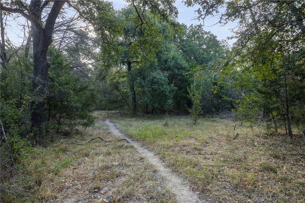 TBD E HWY 79, Franklin, TX 77856 — photo 3