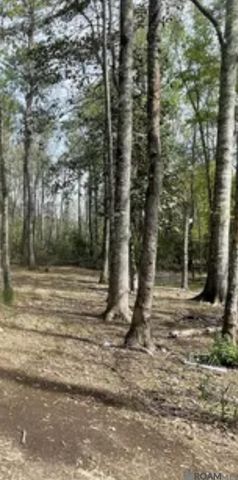 5392 N Gilead Rd, Clinton, LA 70722