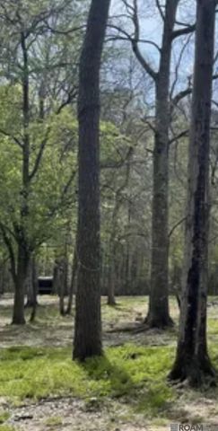 5392 N Gilead Rd, Clinton, LA 70722