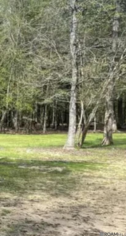 5392 N Gilead Rd, Clinton, LA 70722