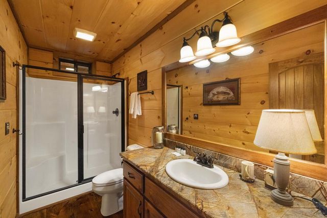 157 Misty Mountain Lane, Cherry Log, GA 30522