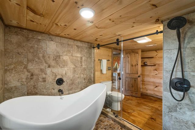 157 Misty Mountain Lane, Cherry Log, GA 30522