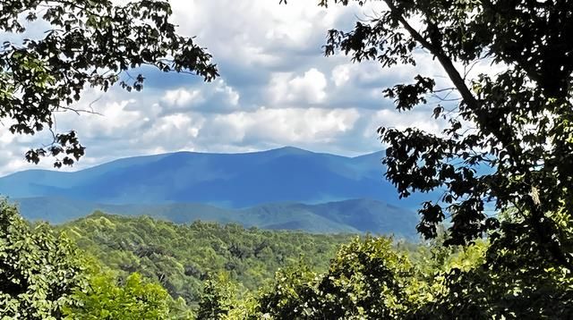 157 Misty Mountain Lane, Cherry Log, GA 30522