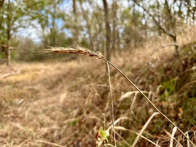 104 E Waiehu LN, Bastrop, TX 78602