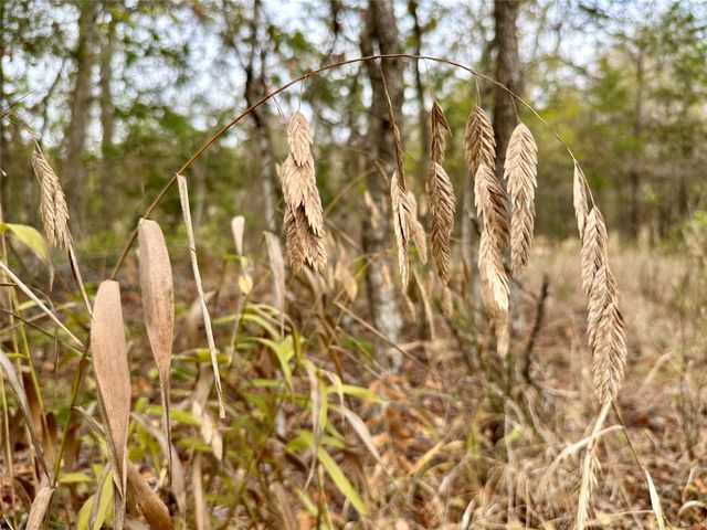 104 E Waiehu LN, Bastrop, TX 78602