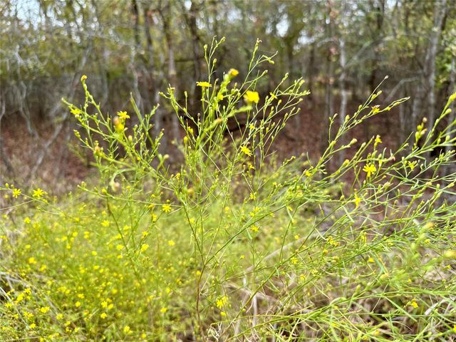 104 E Waiehu LN, Bastrop, TX 78602